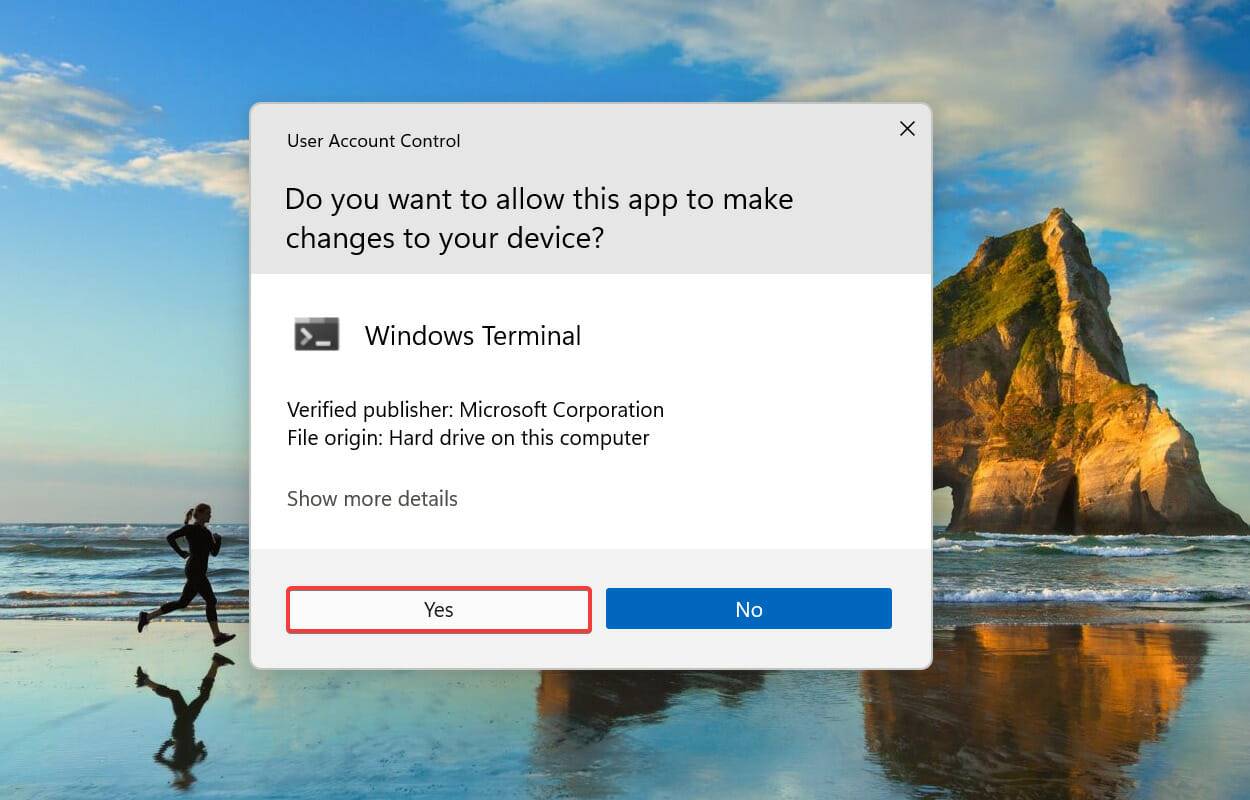 如何修复 Windows 11 中的 NSIS 错误？