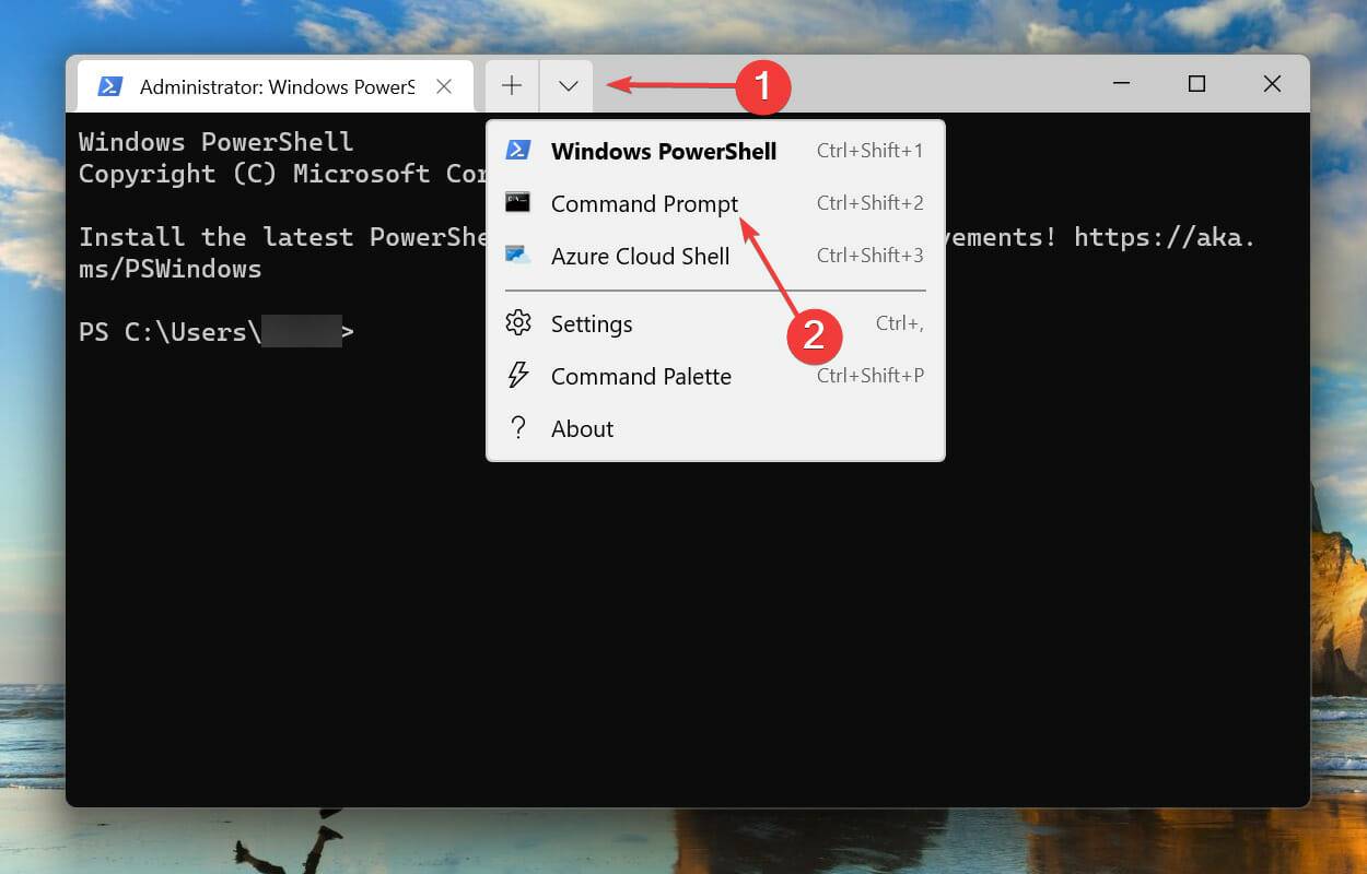 如何修复 Windows 11 中的 NSIS 错误？