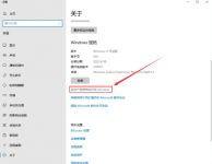 如何升级Win11专业版？快速安装Win11系统教程