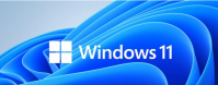 Win11正式版发布五大亮点及最低系统要求一览！